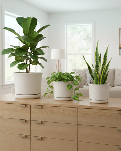 Avyra Velen Ceramic Plant Pots Set of 3 with Saucers, 4.3/5.5/7 Inch Planters for Indoor Plants, Drainage Hole Flower Pots for Succulents, Herbs, Aloe, Modern Home Decor, White