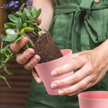 OALCQ 4 Inch Small Flower Pots - 24 Pcs, 8 Colors, Indoor Plant Pots with Drainage