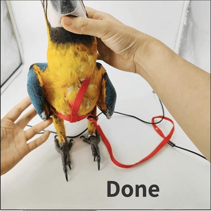 Adjustable Bird Harness with 78.7 Inch Leash, Outdoor Flying Training Rope Kit for Bird Parrots, Parrot Flying Rope Straps Outdoor Training Traction Rope for Small Medium Large Size Birds (Petite)