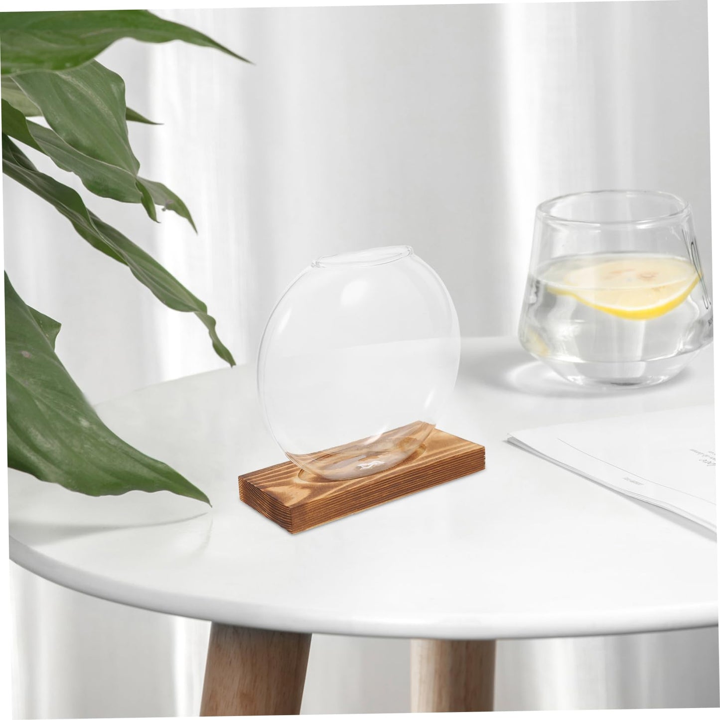 Kisangel Hydroponic Propagation Vase with Wooden Base Small Glass Terrarium Planter for Indoor Plants Decorative Desktop Garden Home Office Tea Ceremony Decor