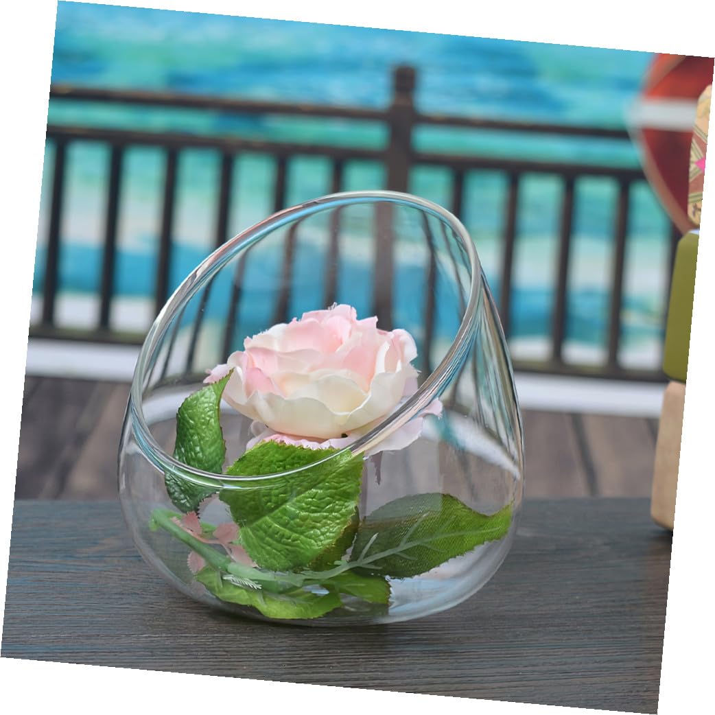 ETHZZLE 2pcs Clear Glass Terrarium Bowls Cut Flower Vases for Succulents and Air Plants Removable Terrarium Bowls for Home Decor for Table and Balcony Display