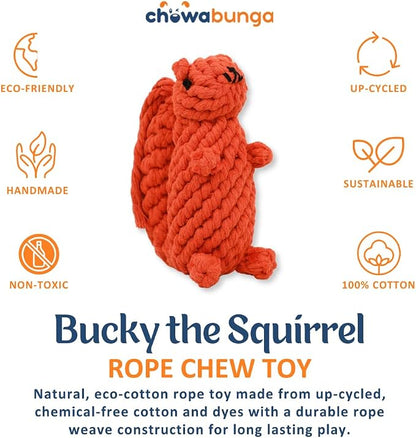 Bucky The Squirrel Dog Toy Handmade Eco Cotton Rope Squirrel Toy for Dogs - Natural, Non-Toxic Dyes, Dog Chew Toys for Small & Medium Breed Dogs, Cats (Large)