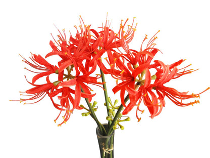 Calcifer 3 Stems Red Spider Lilies Artificial Flowers Lycoris Bulbs (Red)