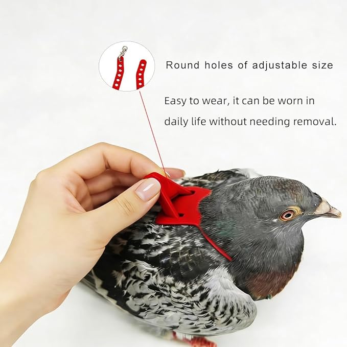 Adjustable Bird Harness & Leash Set for Small Birds,FitsBudgie,Parakeets, Conures, Cockatiels,Green Cheek,Quaker Parrots(Red, XL) Z6350-11