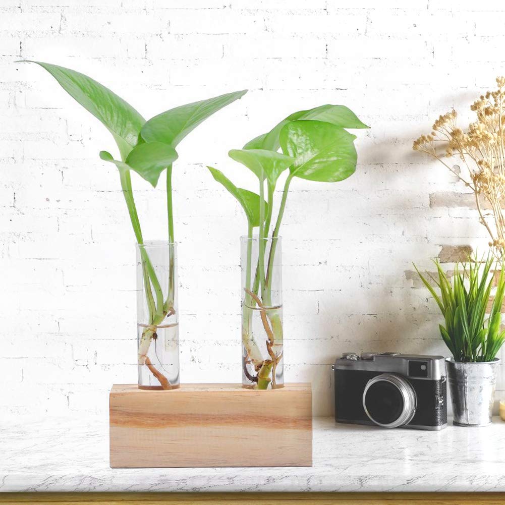 Zerodis Vases Pot Elegant Hydroponic Plant Vase Terrarium Container Home Decor with Wooden Rack for Succulents Miniature Shrubs Ferns Glass Test Tube Flower