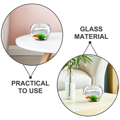 DOITOOL Round Glass Fish Bowl Vase Micro Landscape Container Moss Ecological Terrarium for Indoor Plant Decoration 5.90X5.90X4.72In Home Office Centerpiece