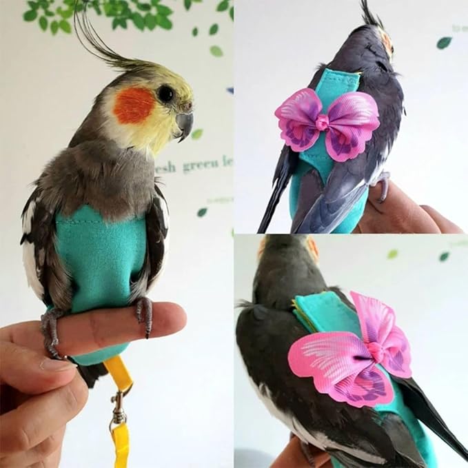 Bird Diaper Harness Flight Suit Clothes, Parrot Flight Suit with Leash for Parrot, Bird Flying Clothes for Outdoor Activities Training (Without Leash,L)