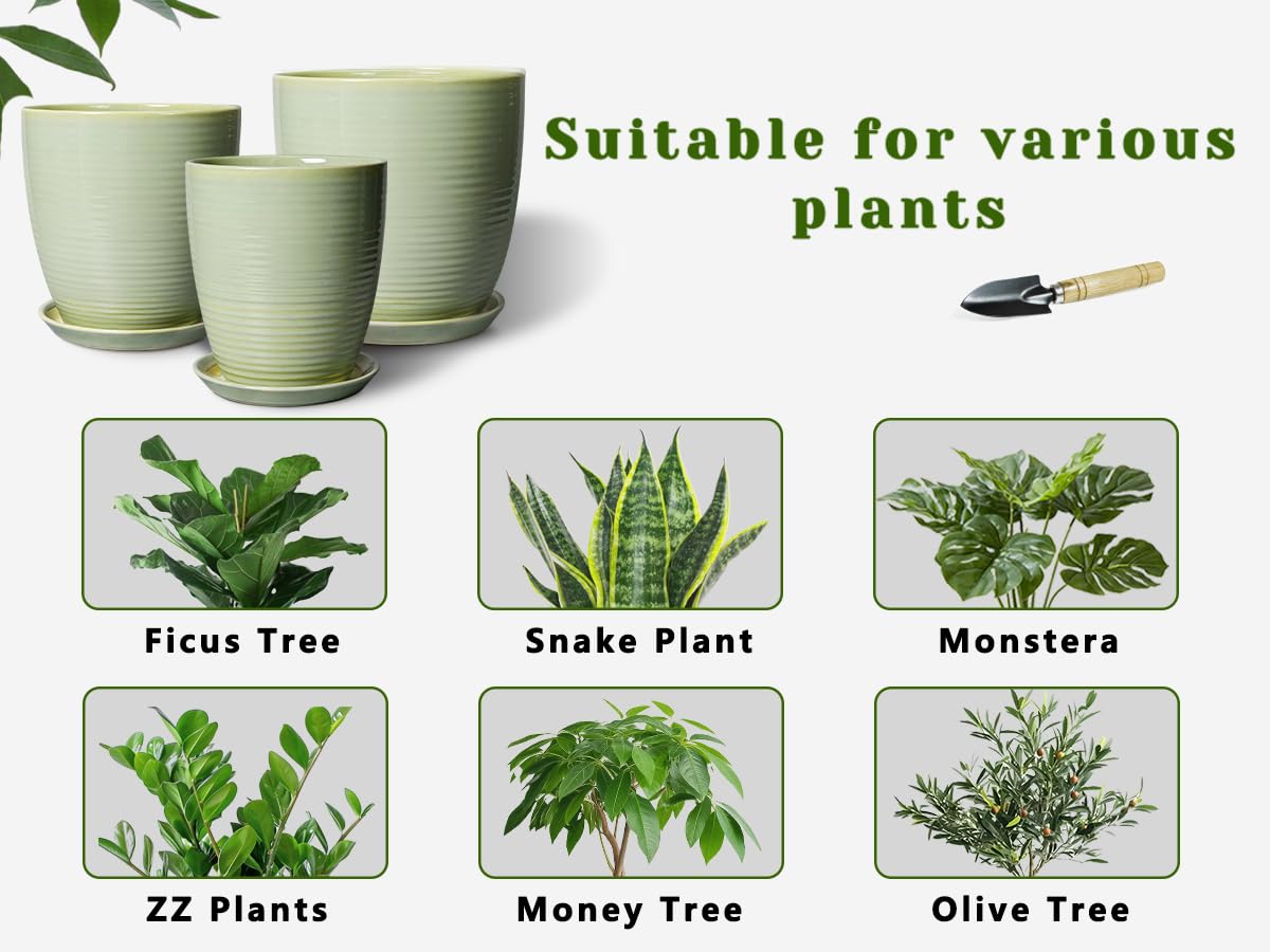 EPFamily Ceramic Pots for Plants - Modern Round 8 Inch Planter with Drainage Hole and Plant Saucer for Flower Indoor Outdoor, Home Decor, House Warming Gifts, Green