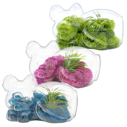 5.75" Puppy Dog Shaped Glass Terrarium Kit with Live Tillandsia Air Plant and Bright Colored Reindeer Moss (Light Green)