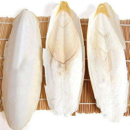 Acxico 10 pcs Cuttlefish Bones Pet Molars, Cuttlefish Bones, 8-10cm