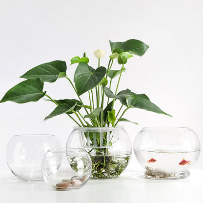 Luxshiny 2Pcs Clear Glass Vase Container 4 Inch Round Hydroponic Plant Holder Decorative Desktop Flower Pot for Home Office Hotel