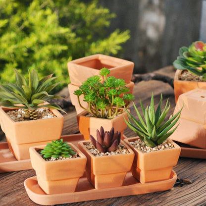 GANAZONO 5pcs Small Terracotta Pots Square Clay Pots Ceramic Flower with Drainage Holes Cactus Nursery Planter Succulent Terracotta Plant for Outdoor Indoor