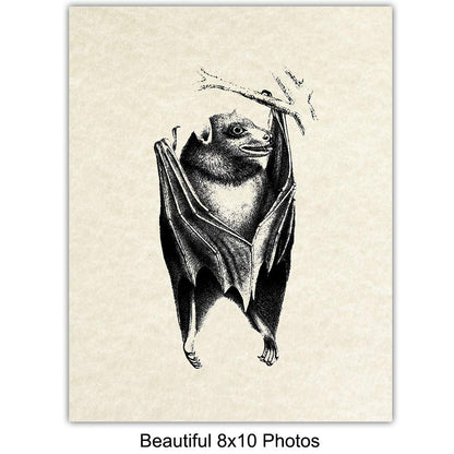 Bats Wall Decor - Bat Decorations - Bat Decor for Home - Creepy Gothic Wall Art - Goth Picture - Pagan Gifts - Gothic Artwork