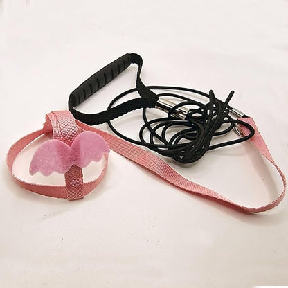 Pet Parrot Bird Harness and Leash, Adjustable Training Design Anti-Bite, Bird Nylon Rope with Cute Wing for Parrots, Suitable for Macaw Cockatoo Cockatiel Lovebird Conure African Grey (Pink,XL)