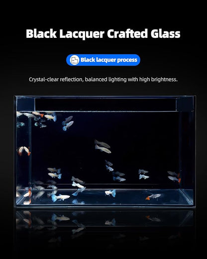 2.5 Gallon Clear Glass Fish Tank, Small Fish Tank Aquarium for Betta, Goldfish, Snail,Shrimp and Aquatic Planting
