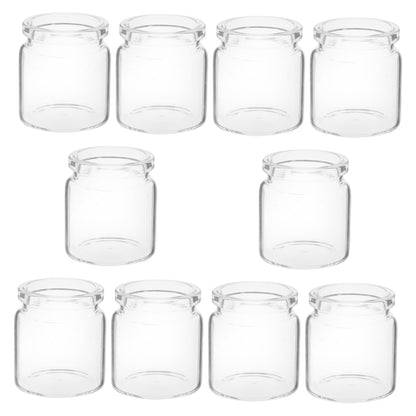 ANDRESLAD 10pcs Miniature Glass Bottles for Succulents Test Tube Vases for Micro Landscape Terrariums for Plant Propagation and Decorative Displays