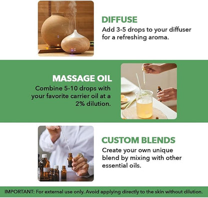 Majestic Pure Essential Oil with Glass Dropper - 100% Pure and Natural - Essential Oils for Diffuser, Aromatherapy, Soap and Candle Making, Tea Tree Essential Oil, Tea Tree Oil, 1 Fl Oz