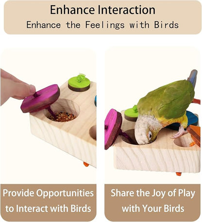 Birdie Puzzle Feeder - Interactive Foraging Toy for Parrots, Parakeets, Cockatiels, Conures | Mental Enrichment & Stimulation Game to Prevent Boredom (Colorful)
