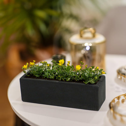 WGVI Long Rectangle Ceramic Planter Vase in Black 12" x 4" x 4"H, Block Rectangular Terrarium Box Pot, Flower Arrangement, Table top Centerpiece, Home Decor Organization Storage Container, 1 Pc.