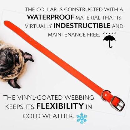 Regal Dog Products Small Orange Waterproof Dog Collar and Leash Set | Heavy Duty Double Buckle & D Ring - 5'ft Leash | Adjustable Biothane Dog Collar | Chew Resistant Waterproof Collar for Dogs