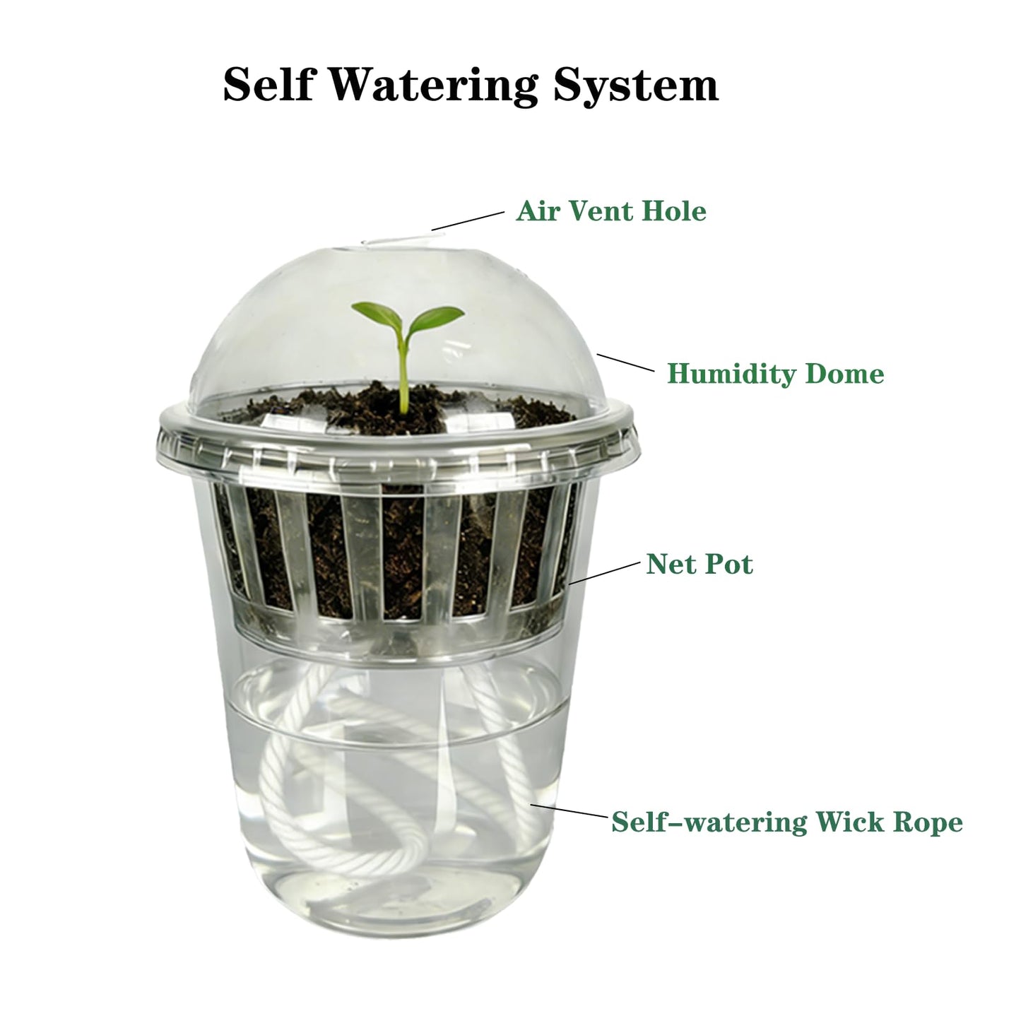 Niiiice 24 Pack 4 inch 360 ML Clear Self Watering Plant Pots, Transparent Plant Germination Nursery Pot, Seed Starting Container for Indoor Outdoor Planting Seedling