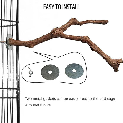 PINVNBY Bird Perches for Cage,3Pcs Parrot Perches Natural Grape Wood Birdcage Stands Pole 4Pcs Birds Toys Ball for Parakeet Lovebirds Budgies Cockatiels Finches
