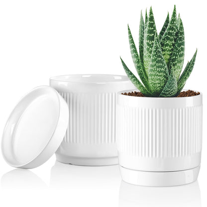 Vanavazon 6 Inch Glazed Ceramic Plant Pots with Drainage Hole and Saucer, Cylinder Indoor Planters for All House Plants, Modern Decor for Home & Office, Set of 2 (White)