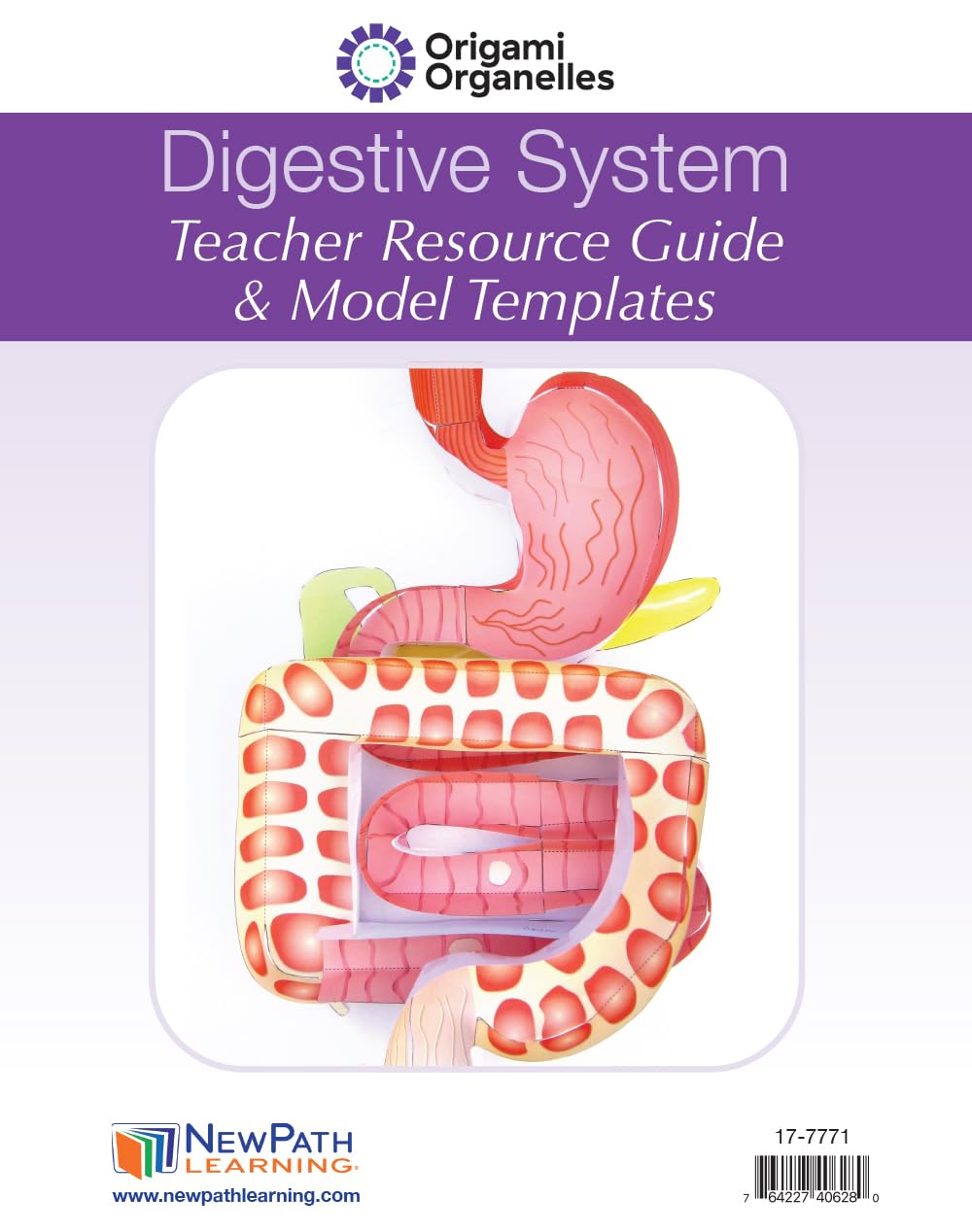 NewPath Digestive System 3-D Paper Model Making Kit - Individual Student Edition (24-7771)
