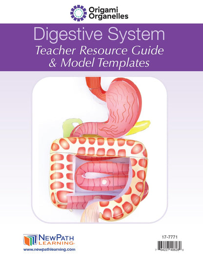 NewPath Digestive System 3-D Paper Model Making Kit - Individual Student Edition (24-7771)