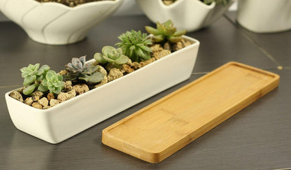 WISH HALLY WOOD 11inch Long Rectangle White Ceramic Succulent Planter Pots/Mini Flower Plant Containers with Bamboo Saucers. Product Size:11x2.23x1.69inch,not Include The Plant. (Long Rectangle)