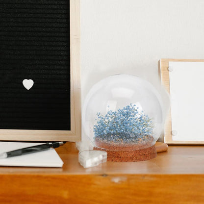 Sewroro 4 Pcs Clear Glass Cloche Globe Display Dome with Cork Base Glass Plant Terrarium Preserved Flower Dome Cover Keepsake Globe Display Case for Lamp Succulents Home Decor