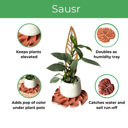 Treleaf Tera Sausr™ – 6" Monstera Leaf Plant Pot Saucer & Drip Tray (Set of 2) – Decorative Humidity Tray for Indoor Houseplants – 3D Printed Eco-Friendly Design - Green