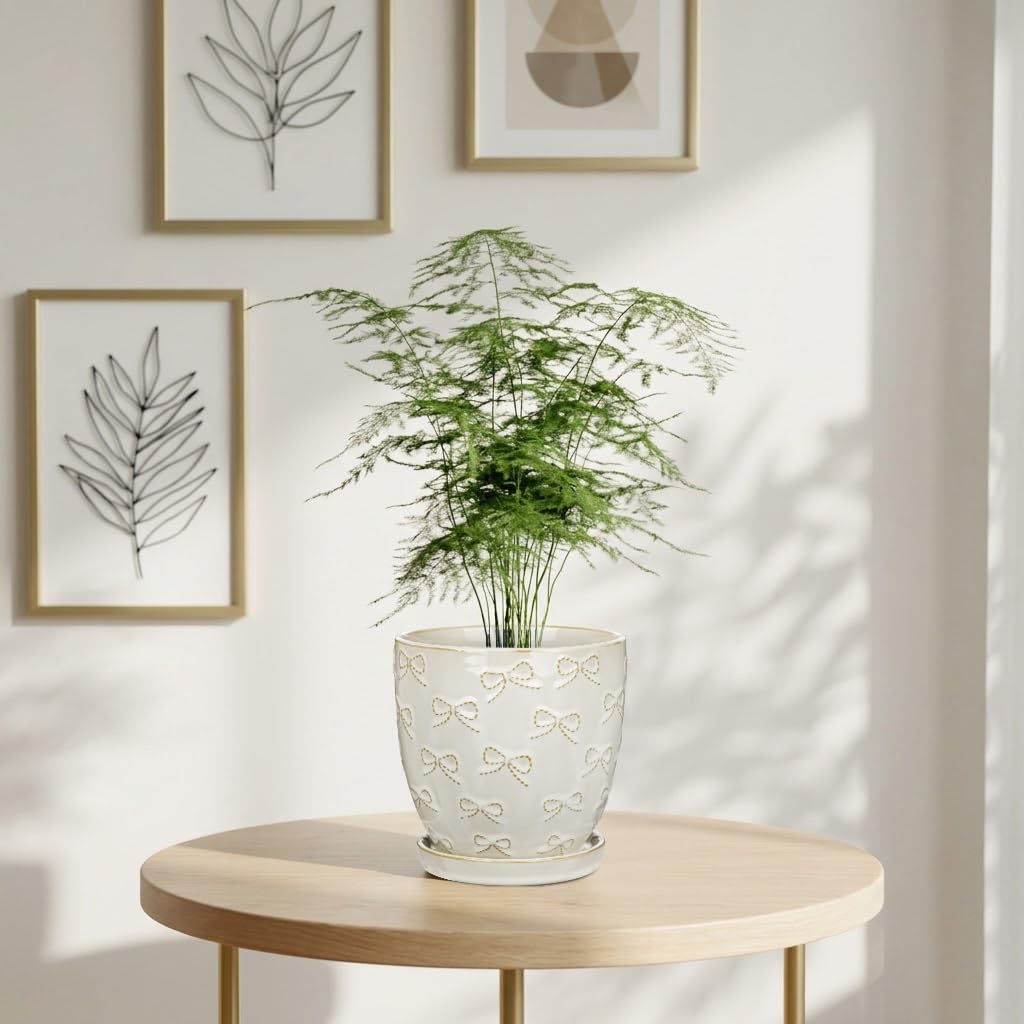 Hollyone 6 Inch White Ceramic Planter Flower Plant Pot with Drainage Hole and Saucer for Plants Embossed Indoor Outdoor Garden Embossed Ceramic Glazed Round Pot for Succulent Orchid Bow Pattern