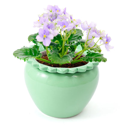 Tbpro Self Watering Plant African Violet Flower Pot 6.5 * 4.6 * 4 Inch Green Ceramic Pot Maintenance Indoor Plant Self Watering Seeder Plant Planting High Absorption Plant Inner Flower Pot