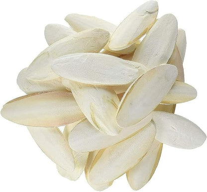 Prevue Pet Products Cuttlebone Pack with Holder - 25Natural Calcium Bones for Birds, Beak Conditioning and Enrichment Toy, Easy Cage Attachment for Cockatiels, Conures, & Small African Greys - Large