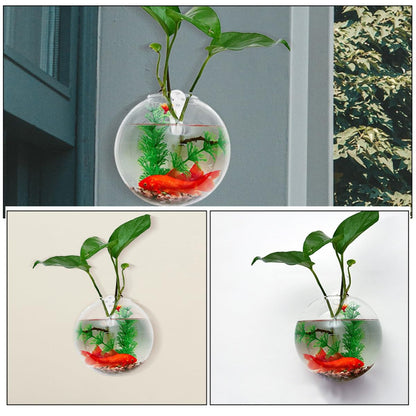 SOLUSTRE Hanging Hydroponic Vase Wall Planter 4pcs Glass Terrariums with Crystal Clay Nail Set Small 10cm Glass Bottles for Indoor Plant Propagation Home Décor