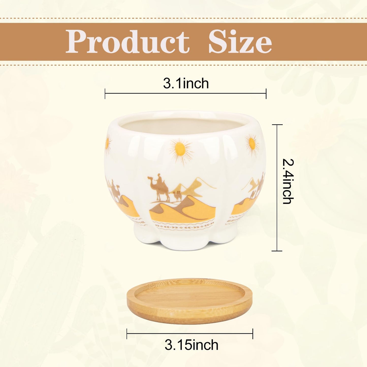 Succulent Pots - 3.1 Inch Small Plant Pots with Drainage Tray, Ceramic Flower Pots for Indoor Plants, 6 Pack Succulent Planters for Cactus Plants, Home Office Decor