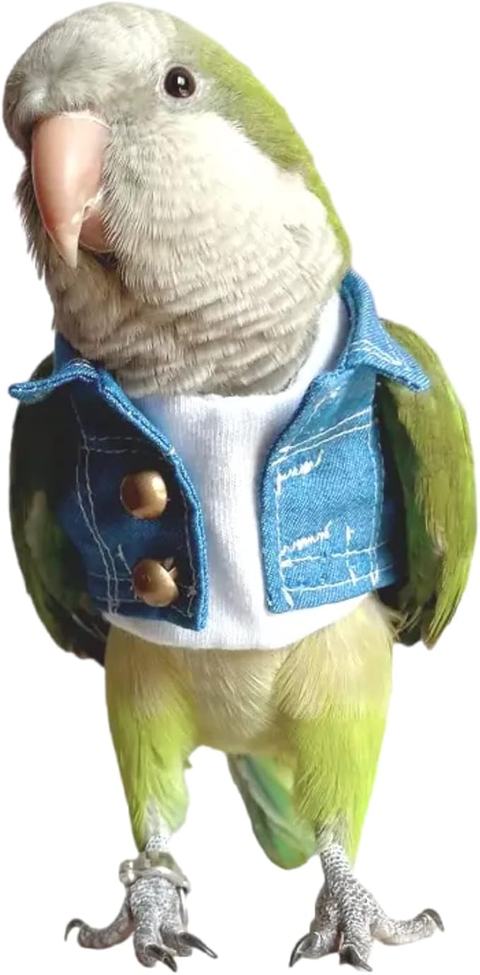 Bird Costume Bird Diaper Flight Suit Bird Jeans Fake Two Pieces Bird Clothes Cosplay Photo Prop for Parrots Lovebird Parakeet Cockatiel Small Animals Apparel (Without Diaper,Green Quaker)