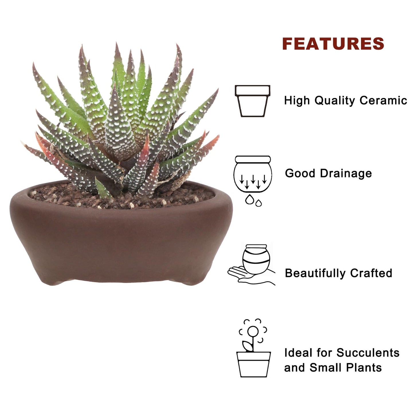 Bonsai Planter 2 pc 3.0" + 3.7" Unglazed Round Ceramic Succulent Pots Set