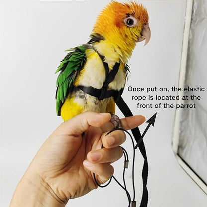 Adjustable Bird Harness and Leash for Parrots Outdoor Flight Training Anti-Bite Light Weight Easy-to-Wear Bird Vest with 59 Inch Elastic Leash for Quaker Conure African Grey Macaw Cockatoo (L)