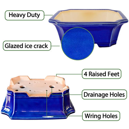 MUZHI Blue Bonsai Plant Pot 9.9” with Drip Saucer, Classic Glazed Ceramic Planter Container for Tree, Cactus, Succulent