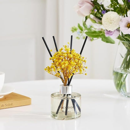 COCODOR Preserved Real Flower Reed Diffuser/Black Cherry / 6.7oz(200ml) / 2 Pack/Reed Diffuser Set, Oil Diffuser & Reed Diffuser Sticks, Home Decor & Office Decor, Fragrance and Gifts