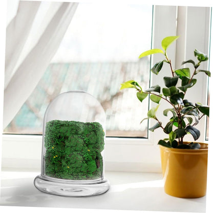 Sosoport Glass Eco Bottle Terrarium Supplies Bell Jar Dome Plant Holder DIY Decor