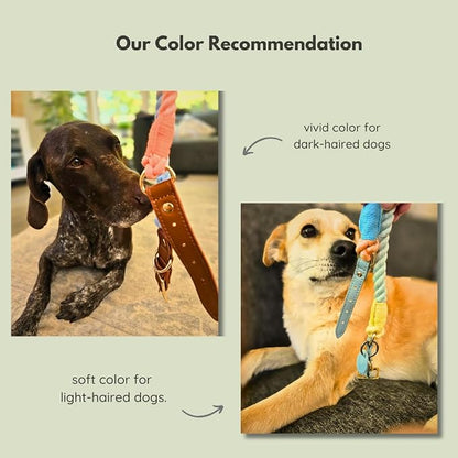 Pawtopia Cotton Braided Rope Collar for Medium Dogs, Vegan Leather Handle (Light Blue) with One Complimentary Roll of Dog Poop Bags (15 Bags), Durable Metal Buckle (Soft Rainbow Color, Medium)