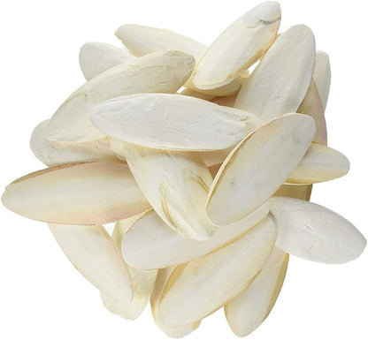 Prevue Pet Products Cuttlebone Pack with Holder - 25 Natural Calcium Bones for Birds, Beak Conditioning and Enrichment Toy, Easy Cage Attachment for Parakeets, Budgies, & Cockatiels - Medium