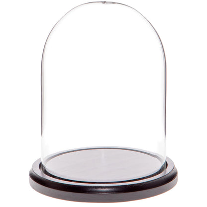 Plymor 4.5" x 6" Glass Display Dome Cloche (Black MDF Wood Base)