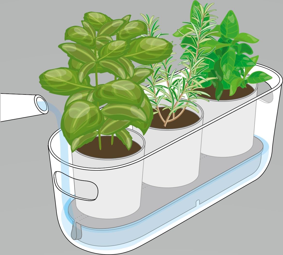 Eva Solo | Self-Watering Herb Organiser | Keeps Indoor House Plants, Flowers, Herbs & Vegetables Watered & Healthy | Danish Design, Functionality & Quality | White