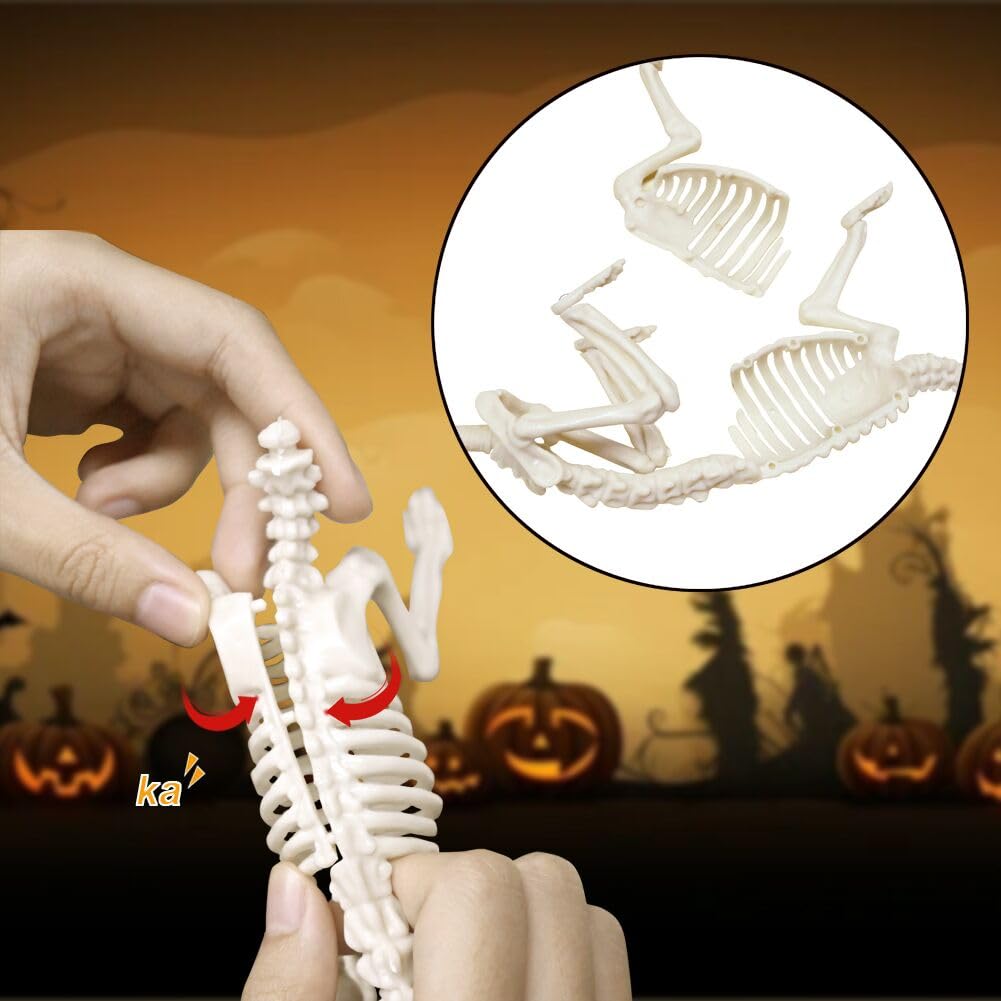 CAMIRUS 6Pack Animal Halloween Skeletons, Plastic Animal Skeleton with Bendable Tails and Movable Jaws for Halloween Party Haunted House Indoor Outdoor Decorations