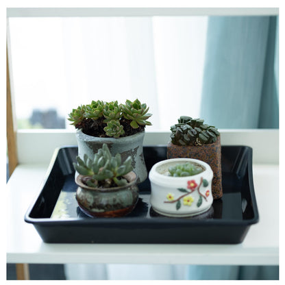 JAKOUE Square Plant Saucer 12 inch,5 Pack Pant Pot Trays, Plant Saucers for Indoors and Outdoors, Seed Starting Tray, Growing Trays,Black