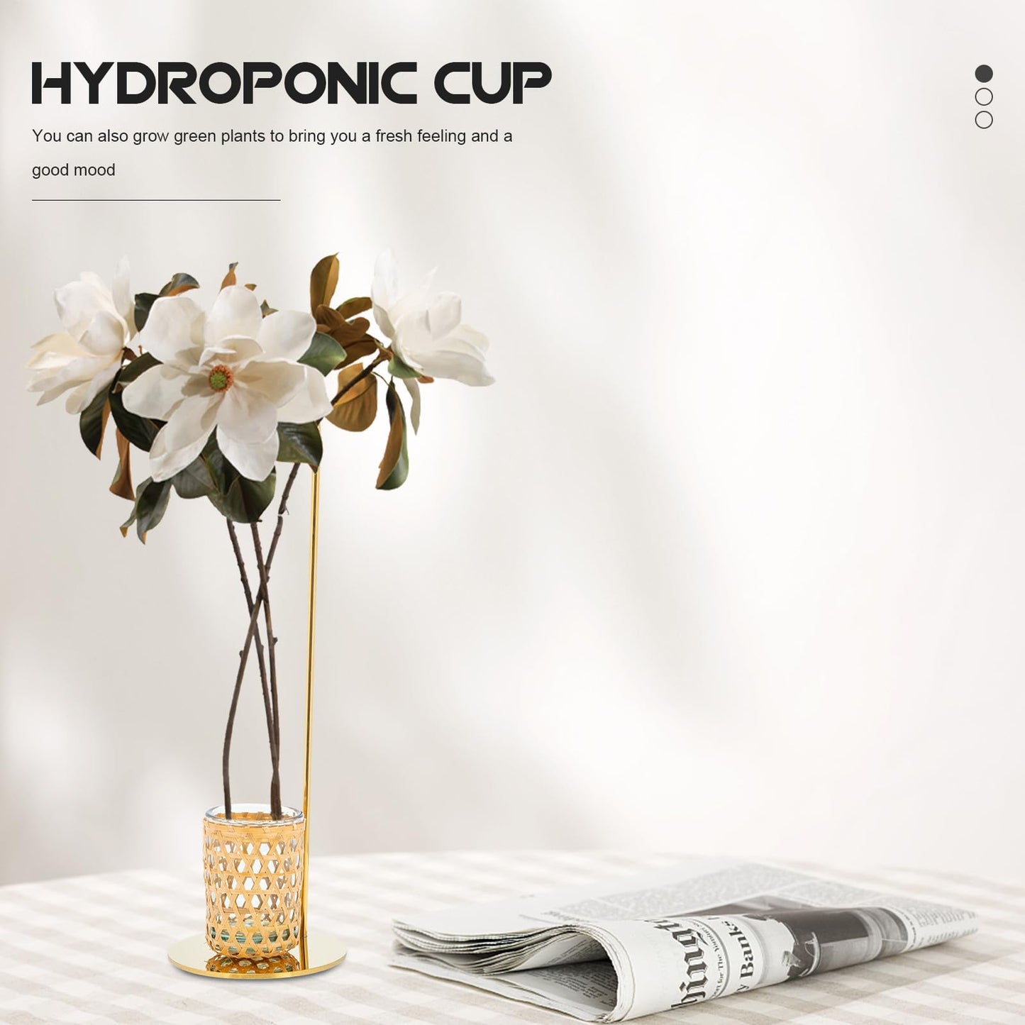 EXAOMBLE Hydroponic Vase with Glass Cup and Stand, Nordic Style Dried Flower Container Plant Terrarium for Home Decor,